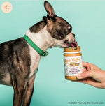 Dog Yog ~ Snoopy Peanut Butter and Super Berry Spread ~ 375g