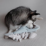 Lambwolf ~ Trout Fish Dog Toy ~ 2 in 1 Burrow & Snuffle