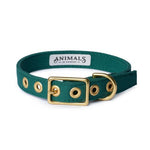 Animals in Charge ~ Forest Green ~ Recycled Canvas Collar
