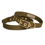 Animals in Charge ~ Olive ~ Recycled Canvas Collar