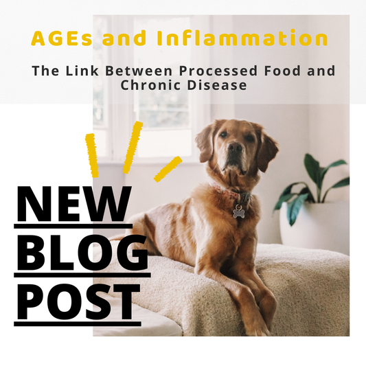 AGEs and Inflammation - The Link Between Processed Food and Chronic Disease