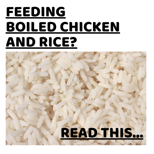 Boiled Chicken and Rice