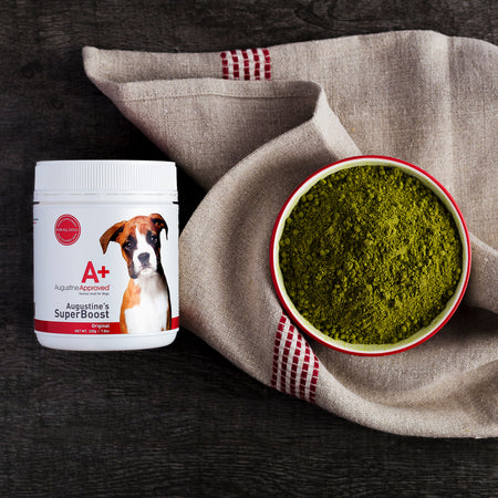 Do You Add Supplements to Your Dog's Diet?