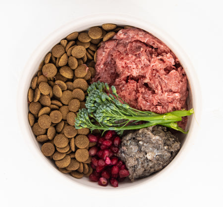 Are you worried about bacteria in pet food?