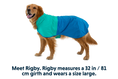 Load image into Gallery viewer, Special Order ~ Ruffwear ~ Sunshower Dog Raincoat
