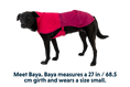 Load image into Gallery viewer, Special Order ~ Ruffwear ~ Sunshower Dog Raincoat
