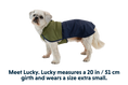 Load image into Gallery viewer, Special Order ~ Ruffwear ~ Sunshower Dog Raincoat
