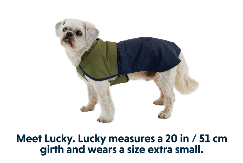 Special Order ~ Ruffwear ~ Sunshower Dog Raincoat