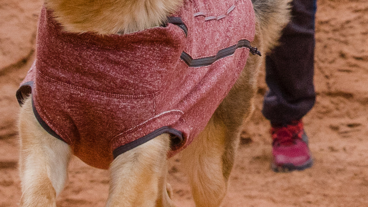 Special Order ~ Ruffwear ~ Hemp Hound Sweater