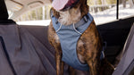 Special Order ~ Ruffwear ~ Crash-Tested Dog Car Harness