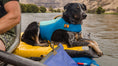 Load image into Gallery viewer, Special Order ~ Ruffwear ~ Float Coat Life Jacket
