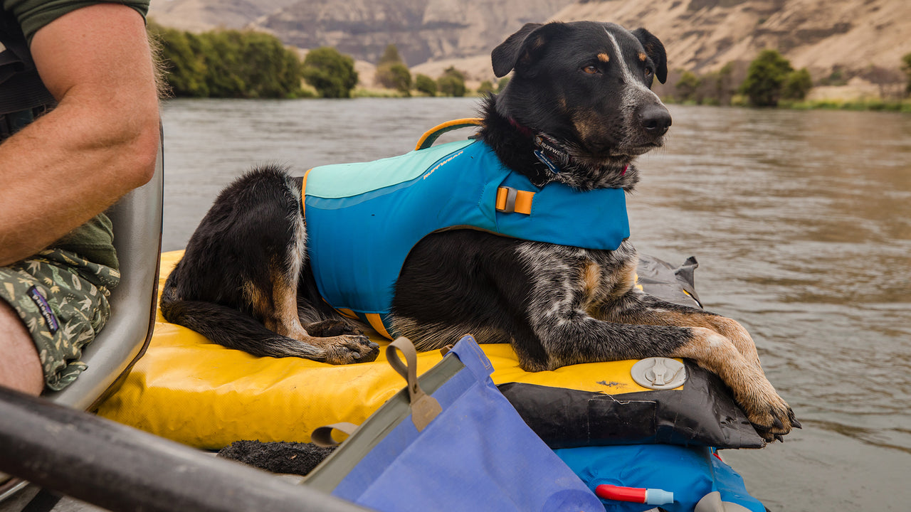 Special Order ~ Ruffwear ~ Float Coat Life Jacket