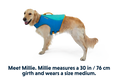 Load image into Gallery viewer, Special Order ~ Ruffwear ~ Float Coat Life Jacket
