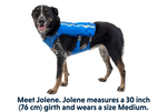 Special Order ~ Ruffwear ~ Trail Runner Dog Vest