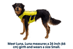Special Order ~ Ruffwear ~ Trail Runner Dog Vest