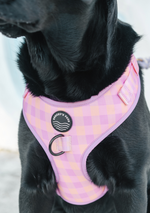 Brucey's Pack ~ Miami Gingham ~ Adjustable Harness