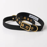 Animals in Charge ~ Black ~ Recycled Canvas Collar