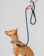 Animals in Charge ~ Navy ~ Handmade Rope Leash