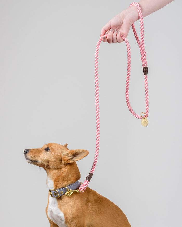 Animals in Charge ~ Pink ~ Handmade Rope Leash