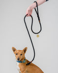 Load image into Gallery viewer, Animals in Charge ~ Black ~ Handmade Rope Leash
