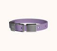 Load image into Gallery viewer, Frank Green ~ Pet Collar & Name Tag ~ Lilac Haze
