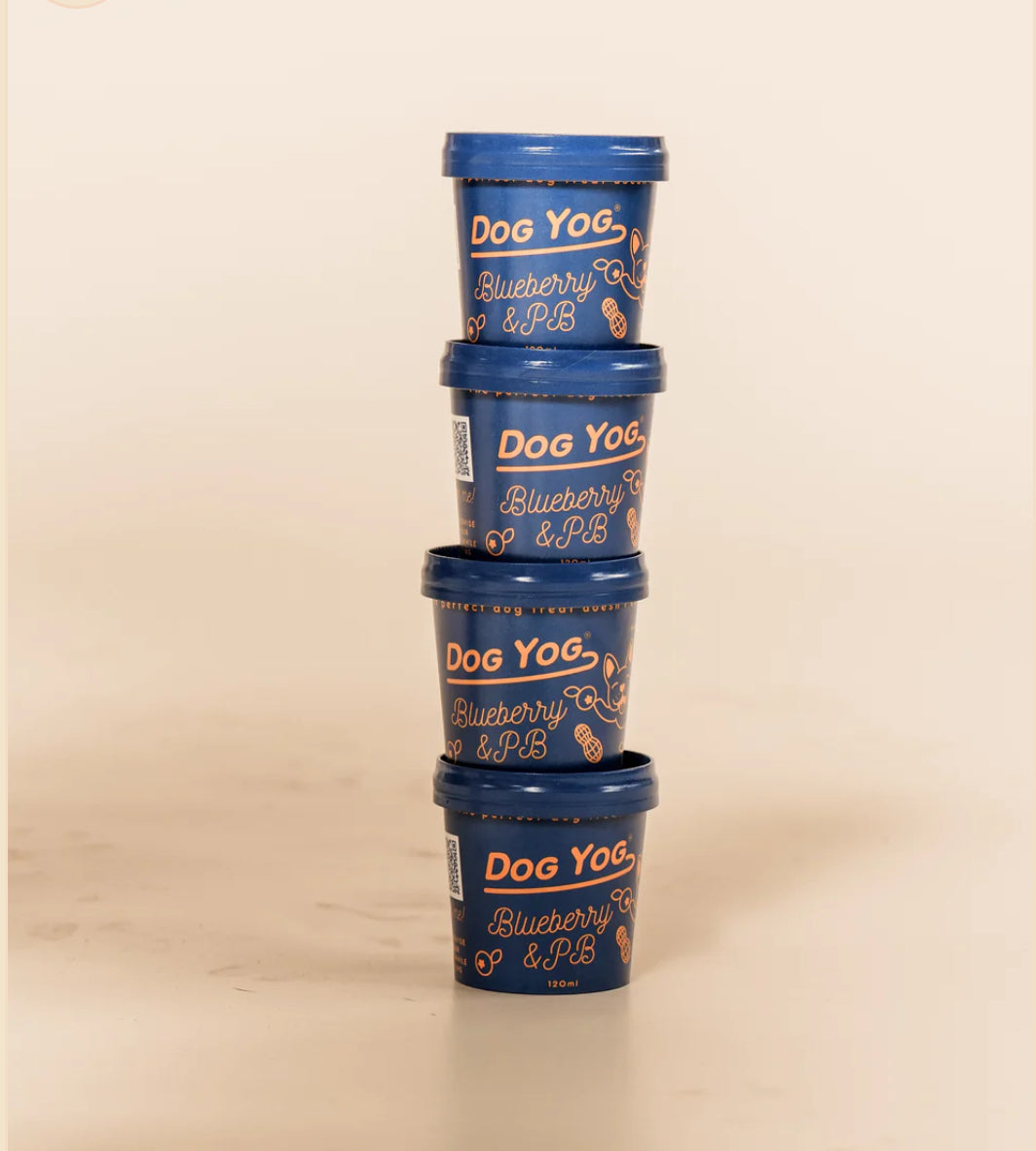 Dog Yog ~ Blueberry & Peanut Butter Probiotic Ice Cream ~ 120ml