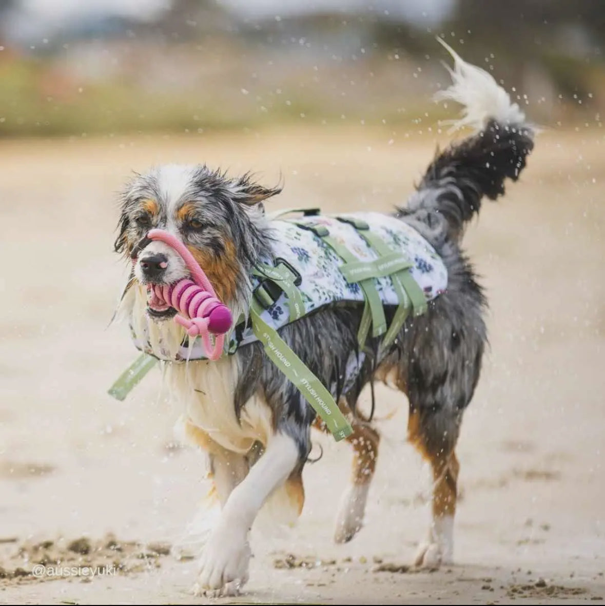 Stylish Hound ~ Hydro stick ~ Dog Toy