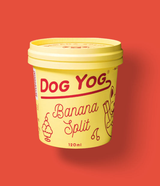 Dog Yog ~ Banana Split Ice Cream ~ 120ml