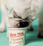 Dog Yog ~ Strawberry Dreams Ice Cream ~ 120ml