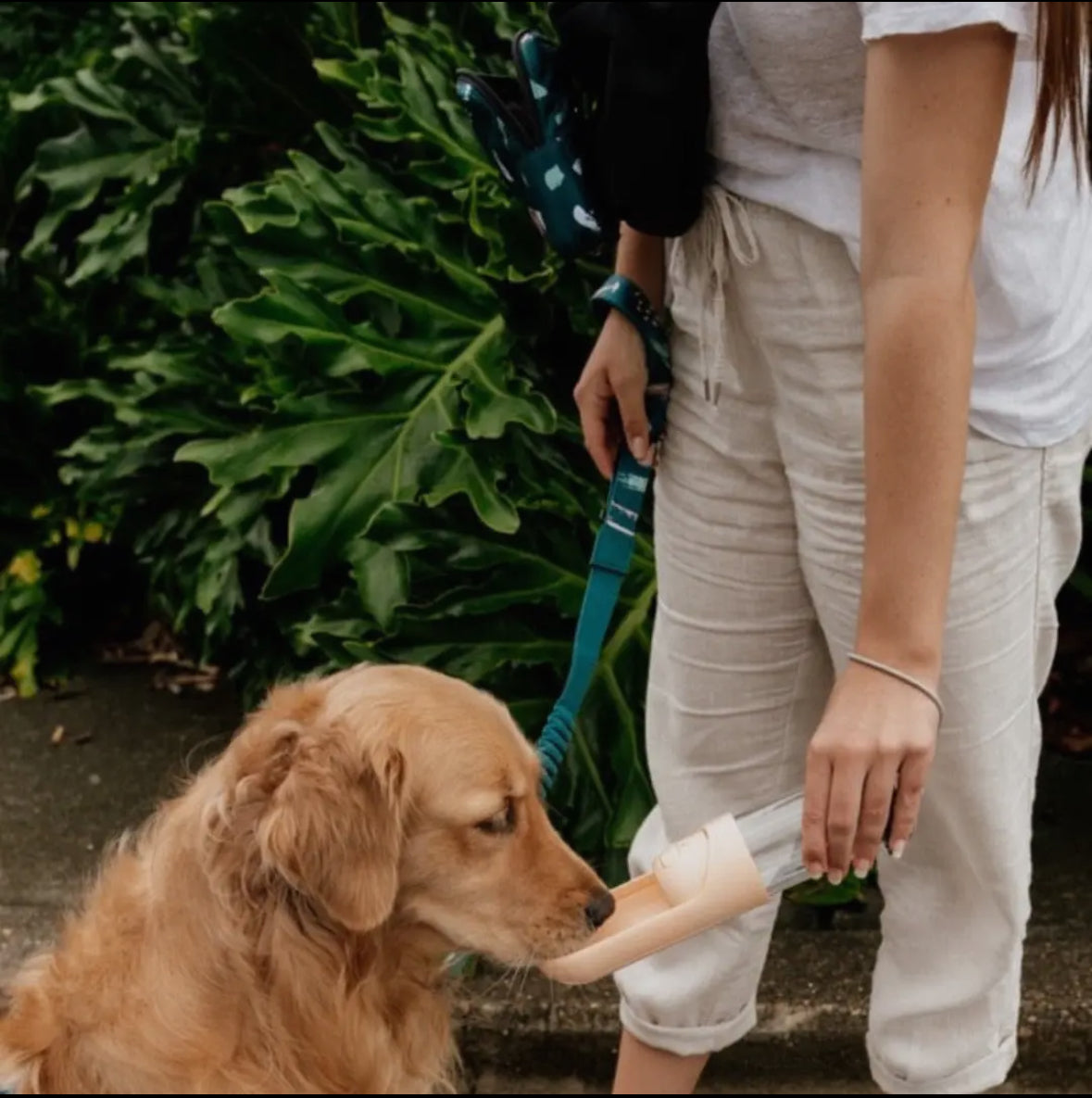 Stylish Hound ~ Travel Water Bottle