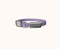 Load image into Gallery viewer, Frank Green ~ Pet Collar & Name Tag ~ Lilac Haze
