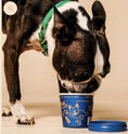 Load image into Gallery viewer, Dog Yog ~ Blueberry & Peanut Butter Probiotic Ice Cream ~ 120ml
