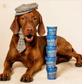 Load image into Gallery viewer, Dog Yog ~ Blueberry & Peanut Butter Probiotic Ice Cream ~ 120ml
