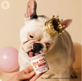 Load image into Gallery viewer, Dog Yog ~ Snoopy Birthday Cake Probiotic Ice Cream ~ 120ml
