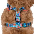 Load image into Gallery viewer, Pablo and co ~ Disney Pixar ~ Finding Nemo ~ Adjustable harness
