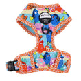 Load image into Gallery viewer, Pablo and co ~ Disney Pixar ~ Finding Nemo ~ Adjustable harness
