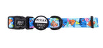 Pablo & co ~ Disney Pixar ~ Finding Nemo ~ Collar