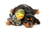 Fuzzyard ~ Commanduck ~ Plush Dog Toy