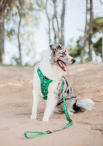 Brucey's Pack ~ Palm Beach ~ Adjustable Harness