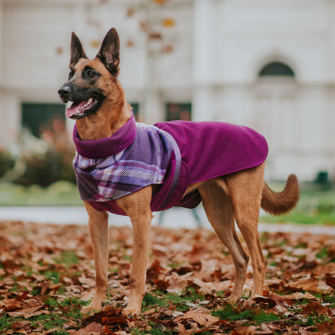 Stylish Hound ~ Winter Coat ~ Berry