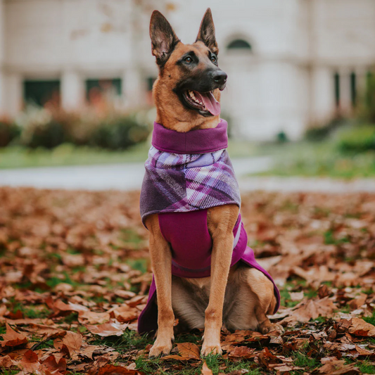 Stylish Hound ~ Winter Coat ~ Berry