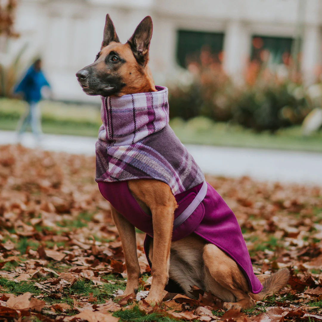 Stylish Hound ~ Winter Coat ~ Berry