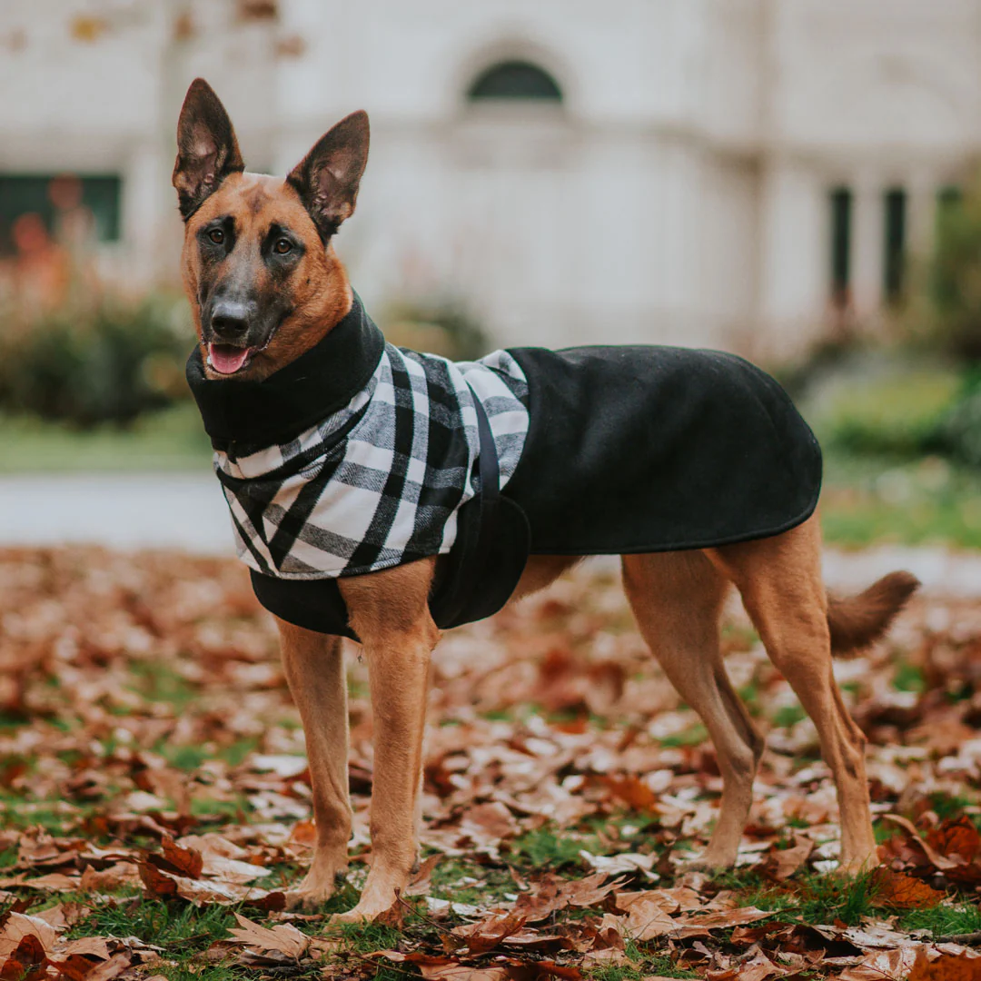 Stylish Hound ~ Winter Coat ~ Black