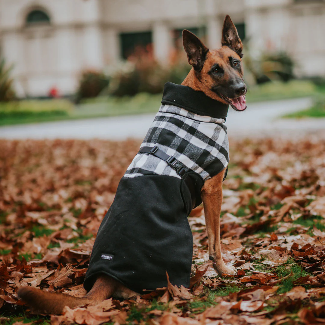 Stylish Hound ~ Winter Coat ~ Black