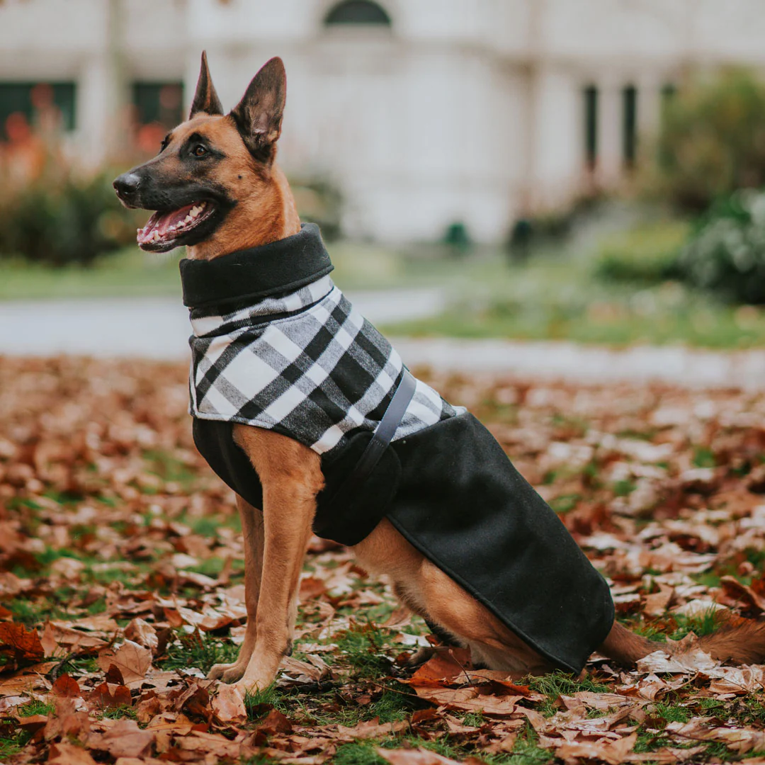 Stylish Hound ~ Winter Coat ~ Black