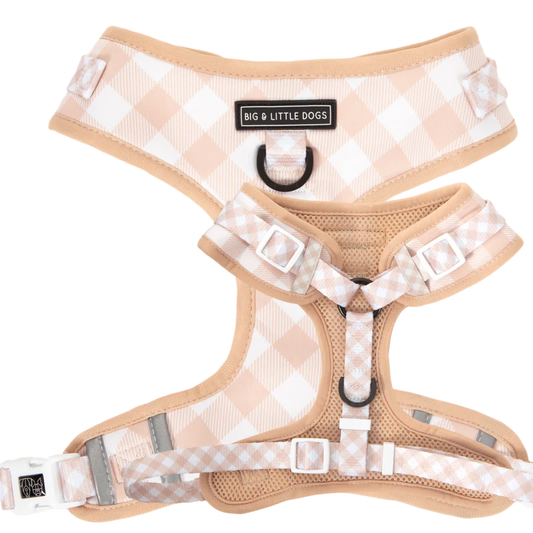 Big & Little Dogs ~ Latte Gingham ~ Harness