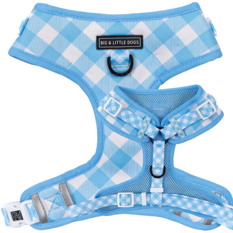 Big & Little Dogs ~ Blueberry Gingham ~ Harness