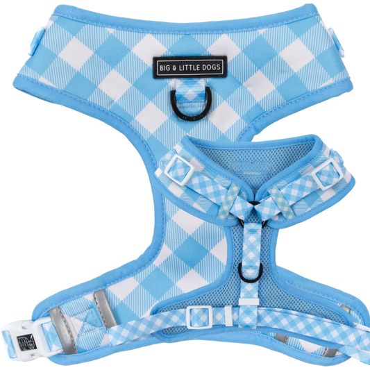 Big & Little Dogs ~ Blueberry Gingham ~ Harness