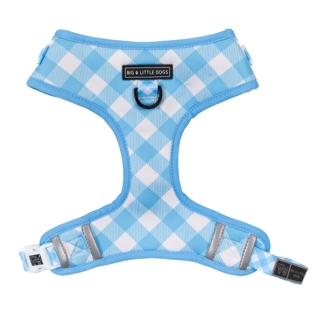 Big & Little Dogs ~ Blueberry Gingham ~ Harness