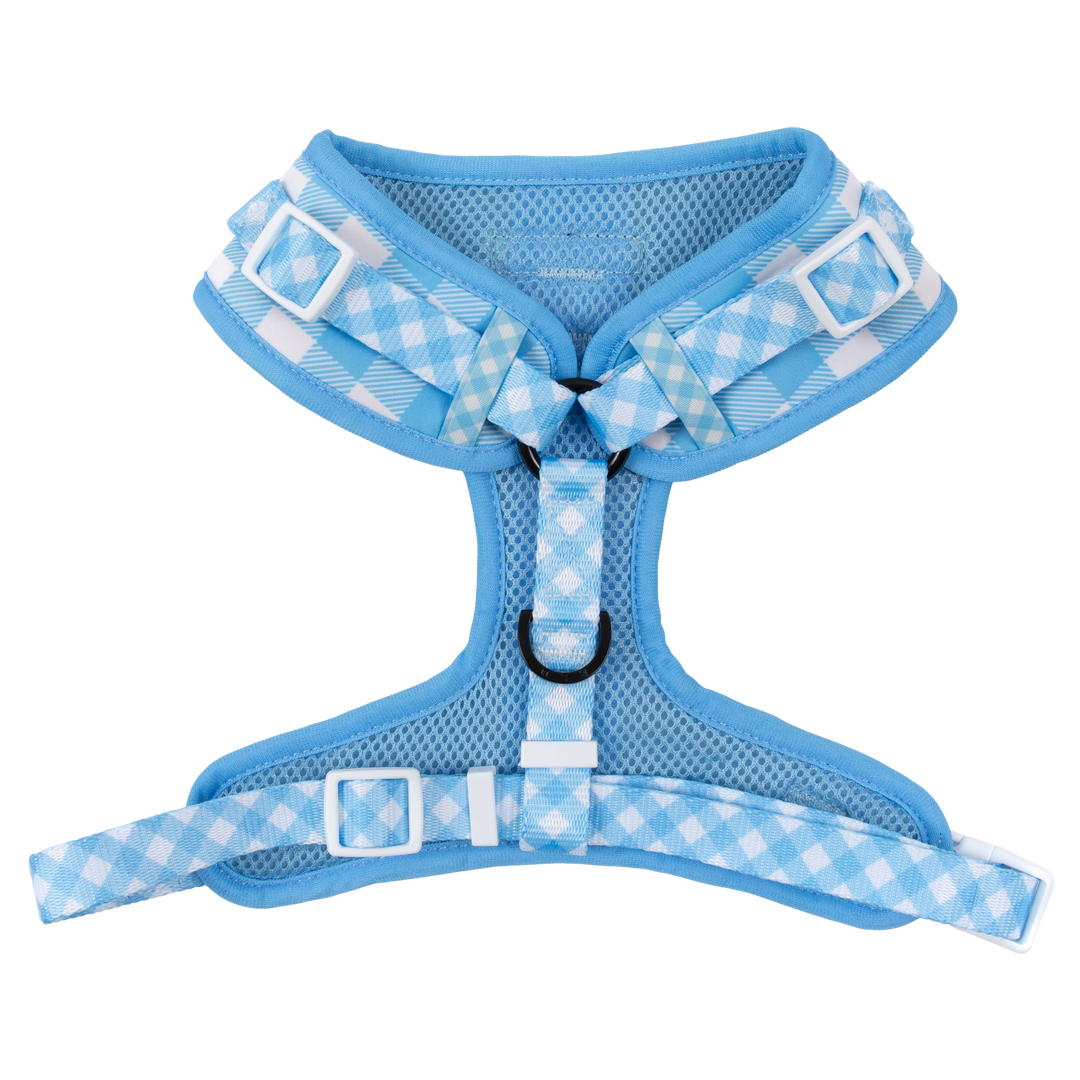 Big & Little Dogs ~ Blueberry Gingham ~ Harness